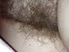 מקרוב של הכוס השעיר שלי בנות מתחת לשמיכה.