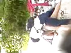 pareja דה אסטודיאנטס cogiendo en el parque.