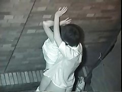 ניהון חיצונית