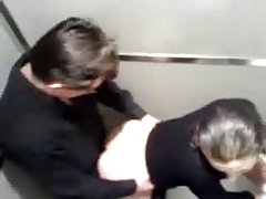 זיון בשירותים