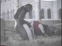 בין גזעי זוג מזדיין בפארק